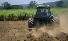 谢菲尔德大学的研究表明有可能减少农业对不可再生肥料的依赖