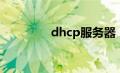dhcp服务器（dhcp服务）