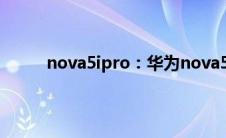 nova5ipro：华为nova5iPro返回功能怎么实现